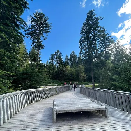 Casa Black Forest - Kniebis דירה פרוידנשטאדט