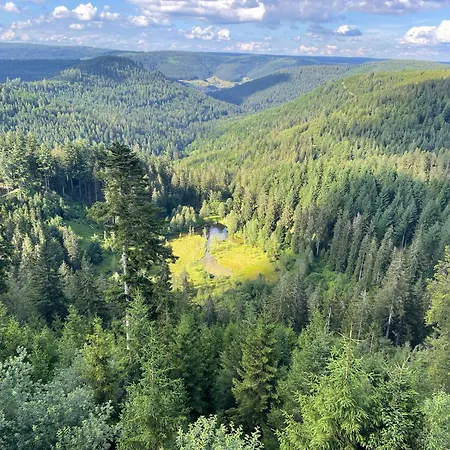 Casa Black Forest - Kniebis Appartement *