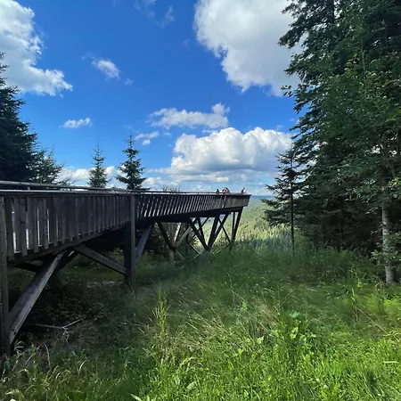 Casa Black Forest - Kniebis דירה *