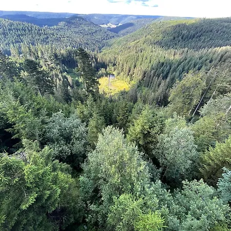 Casa Black Forest - Kniebis *