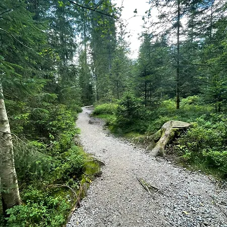 Casa Black Forest - Kniebis Freudenstadt