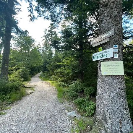 Casa Black Forest - Kniebis Appartement *