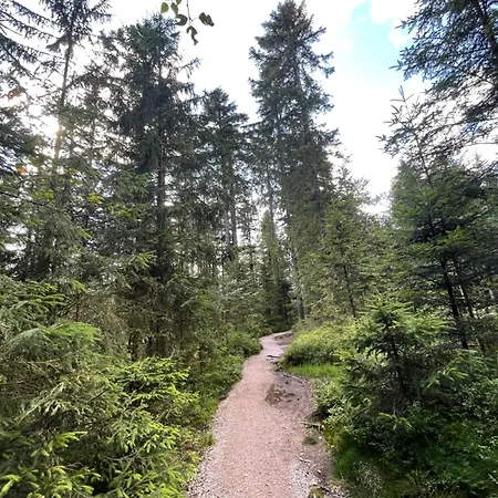 Casa Black Forest - Kniebis דירה *