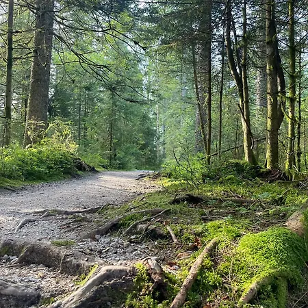 Appartement Casa Black Forest - Kniebis *