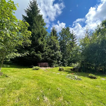 Casa Black Forest - Kniebis