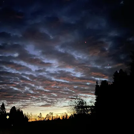 Casa Black Forest - Kniebis *