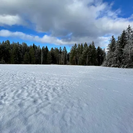 Casa Black Forest - Kniebis