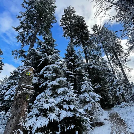 Casa Black Forest - Kniebis דירה