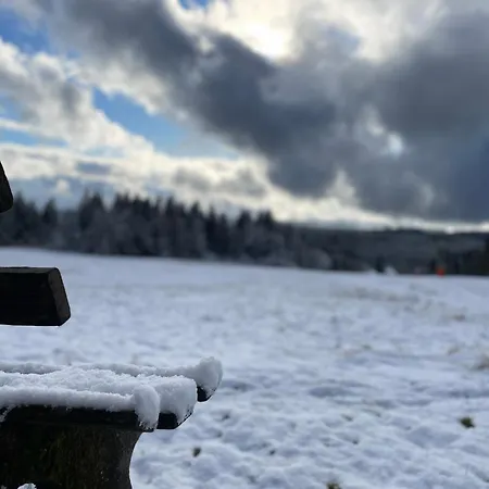 Casa Black Forest - Kniebis דירה פרוידנשטאדט