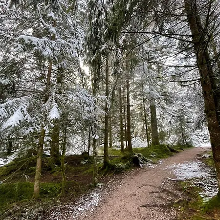 Casa Black Forest - Kniebis