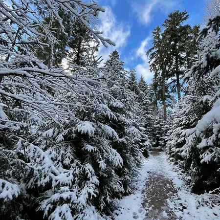 Casa Black Forest - Kniebis דירה פרוידנשטאדט
