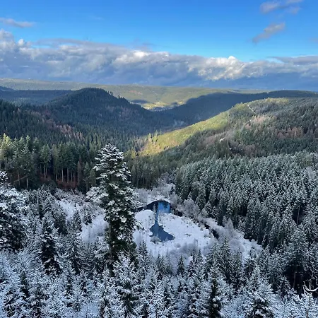 Casa Black Forest - Kniebis