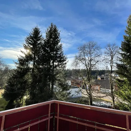 דירה Casa Black Forest - Kniebis פרוידנשטאדט