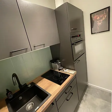 Casa Black Forest - Kniebis Appartement *